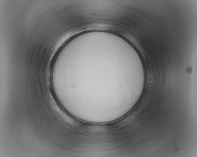X0000112521083200909141217