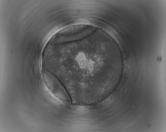 X0000112521084200909141217