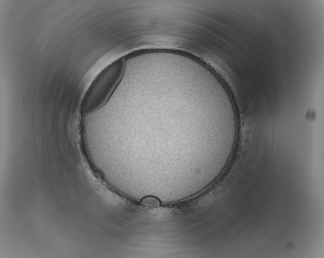X0000112521085200909141217