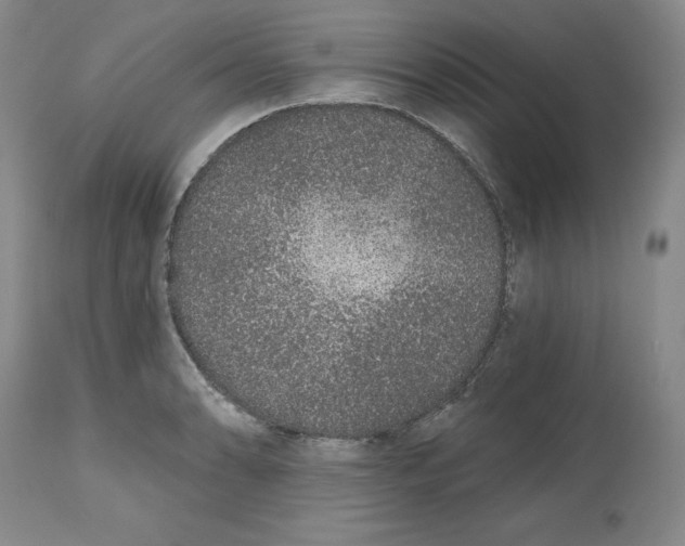 X0000112521086200909141217