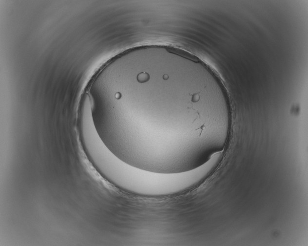 X0000112521088200909141217