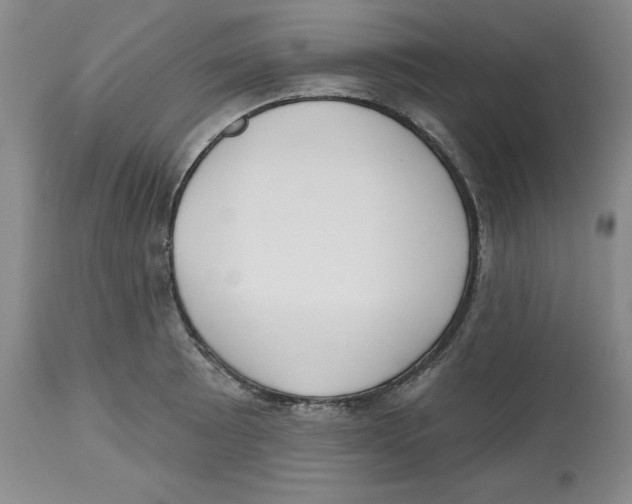 X0000112521089200909141217