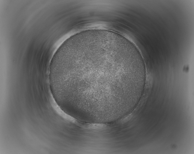 X0000112521090200909141217