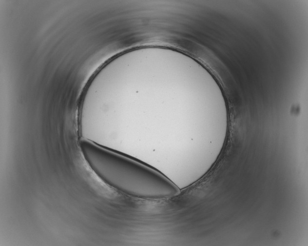 X0000112521092200909141217