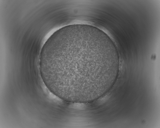 X0000112521094200909141217