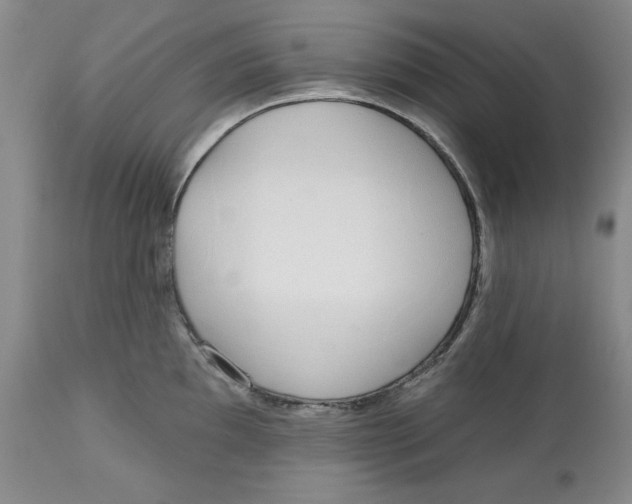 X0000112521097200909141217