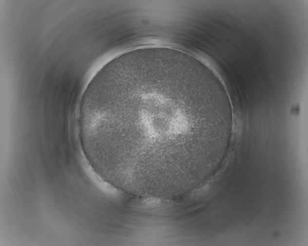 X0000112521098200909141217
