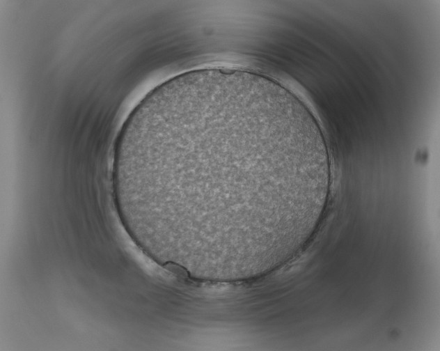X0000112521099200909141217