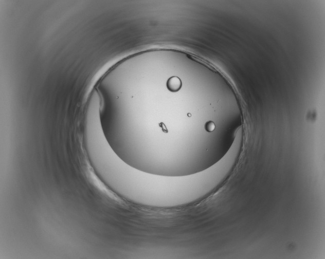 X0000112521100200909141217