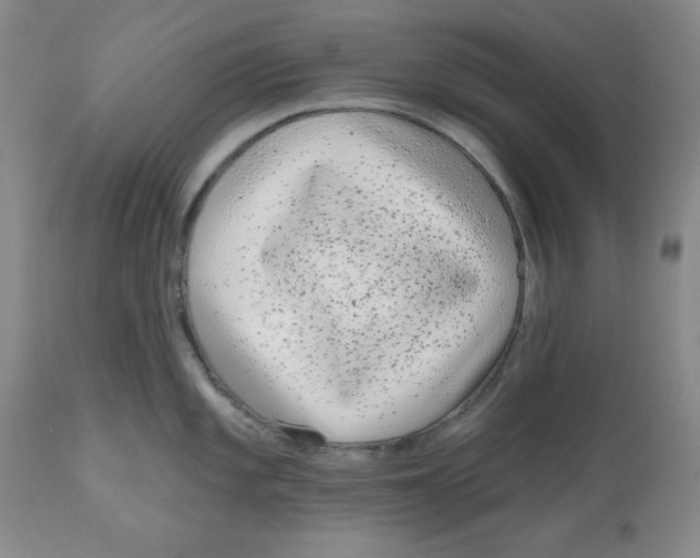 X0000112521101200909141217