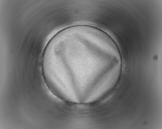 X0000112521102200909141217
