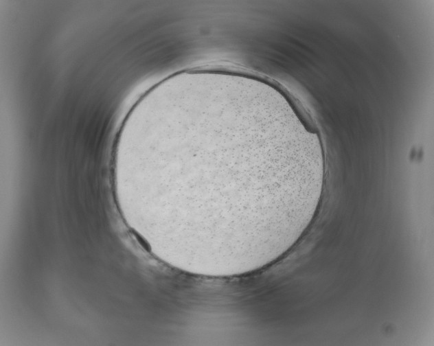 X0000112521104200909141217