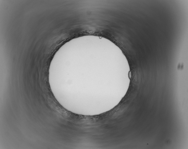 X0000112521105200909141216