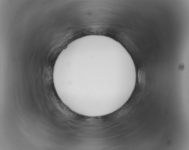 X0000112521107200909141216