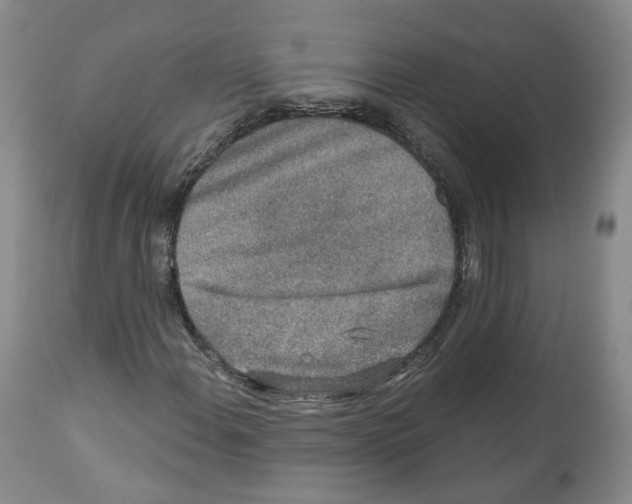 X0000112521108200909141216