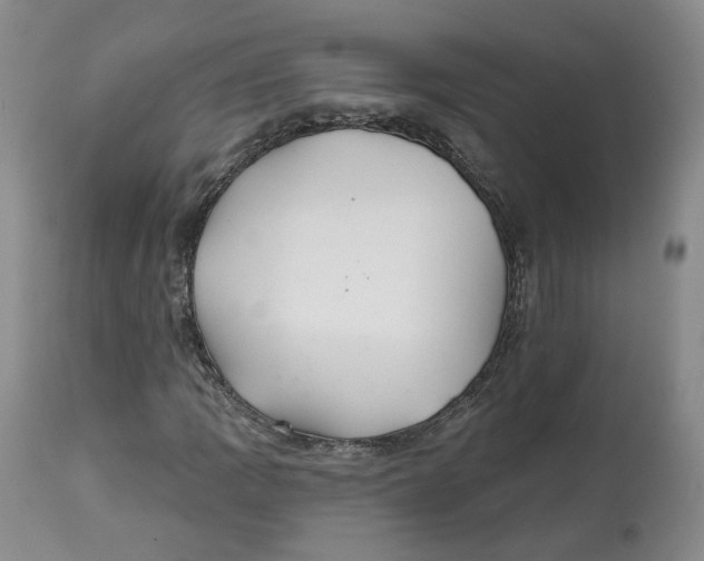 X0000112521109200909141216