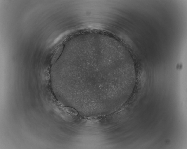 X0000112521110200909141216