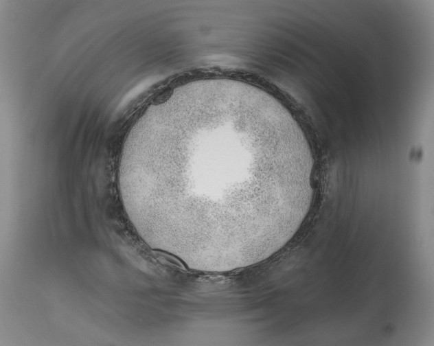 X0000112521112200909141216