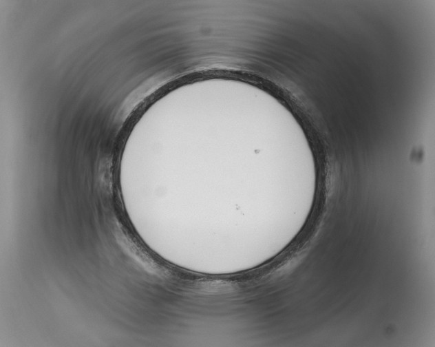 X0000112521113200909141216