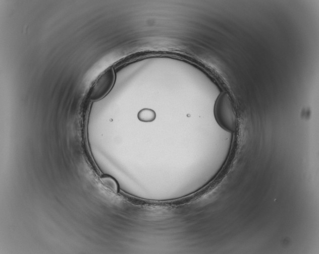 X0000112521114200909141216