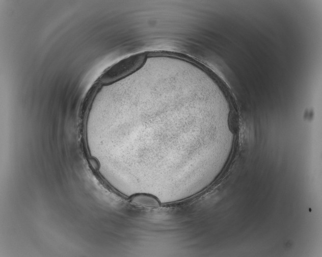 X0000112521116200909141216