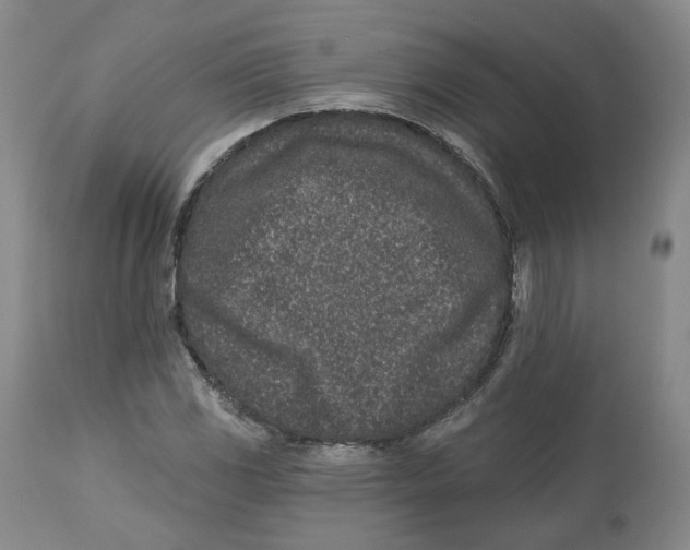 X0000112521117200909141216