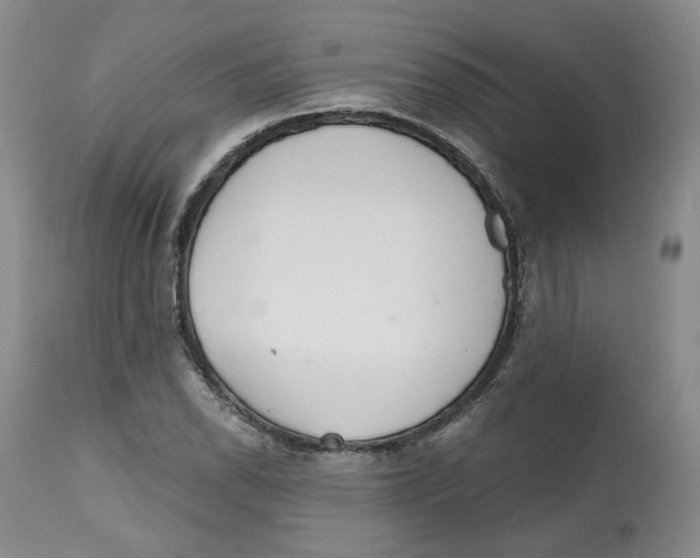 X0000112521118200909141216