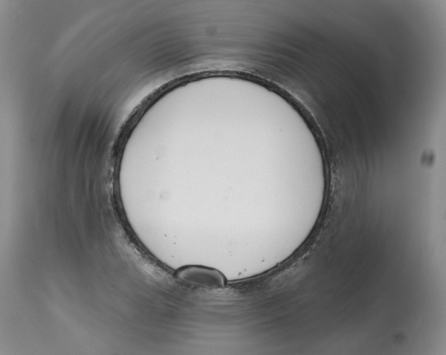 X0000112521119200909141216