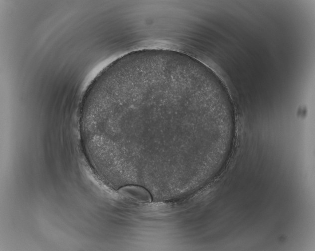 X0000112521120200909141216