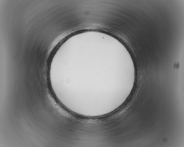 X0000112521122200909141216