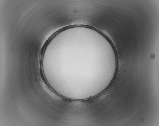 X0000112521124200909141216