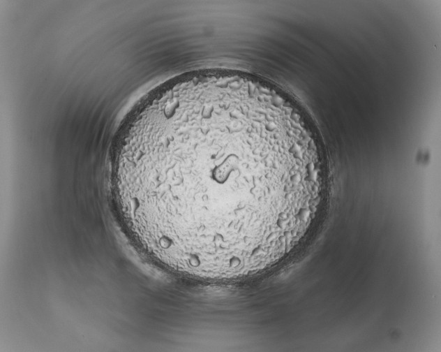 X0000112521125200909141216