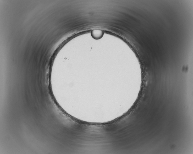 X0000112521126200909141216