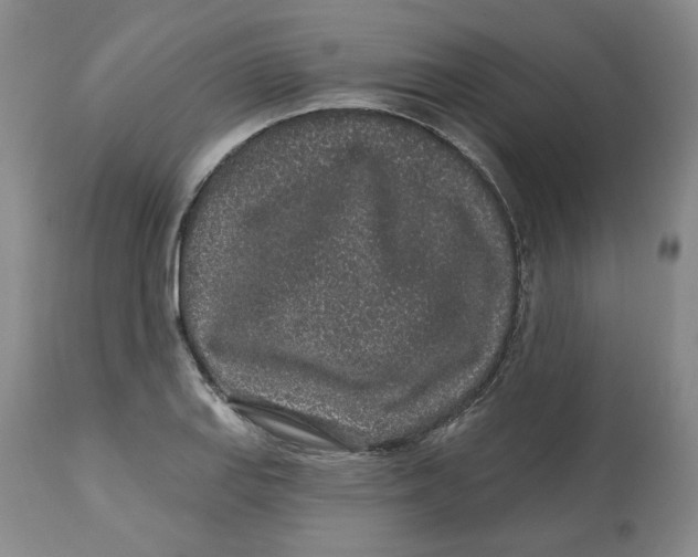 X0000112521127200909141216