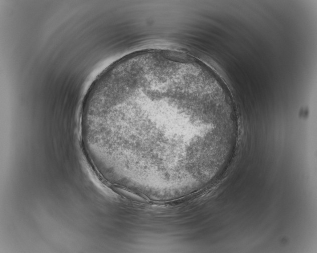 X0000112521128200909141216