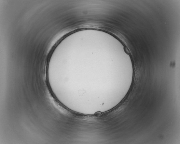 X0000112521131200909141216