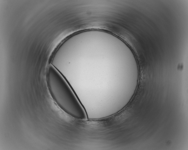 X0000112521132200909141216