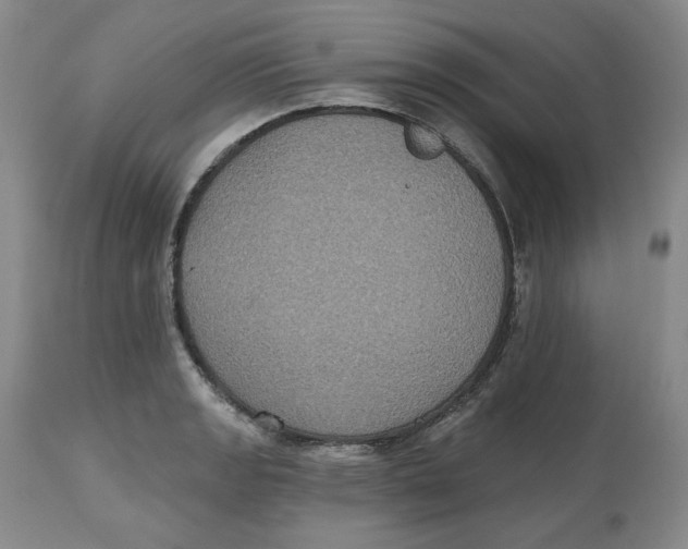 X0000112521133200909141216