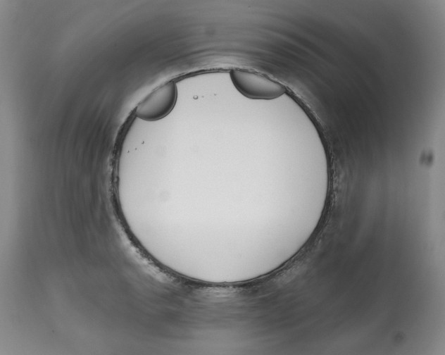 X0000112521134200909141216