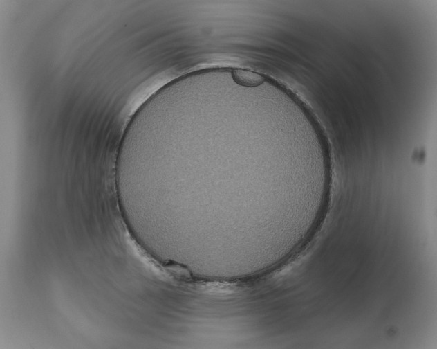 X0000112521137200909141216