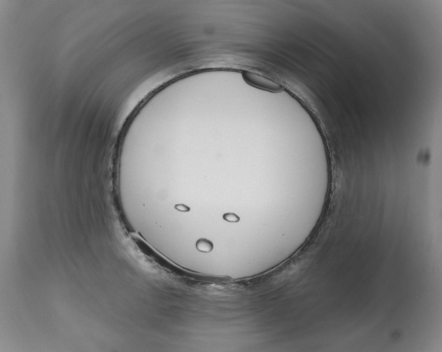 X0000112521138200909141216