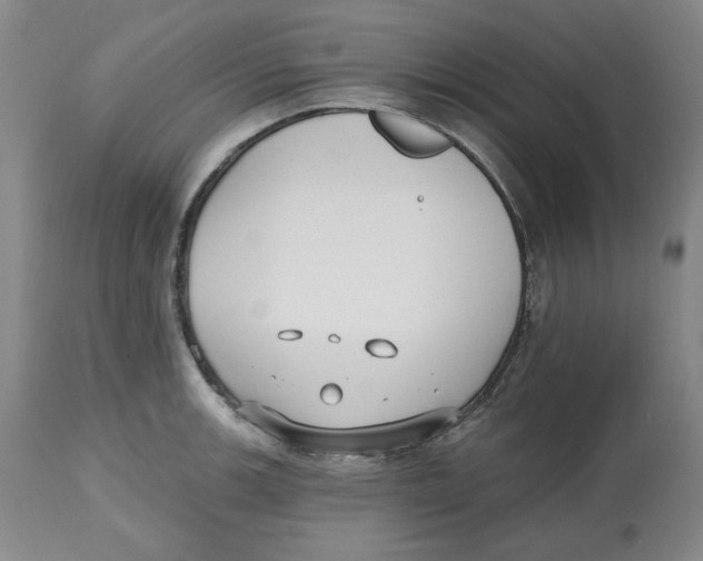 X0000112521139200909141216