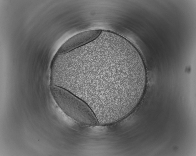 X0000112521140200909141217