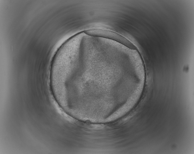 X0000112521144200909141217