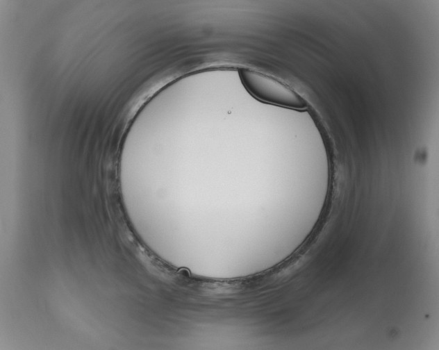 X0000112521145200909141217