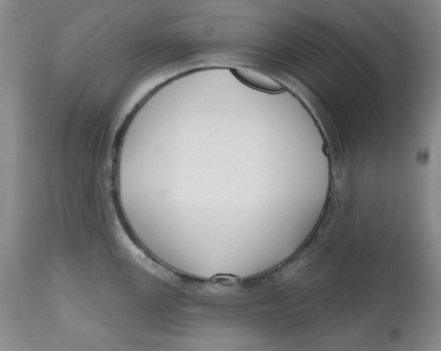X0000112521147200909141217