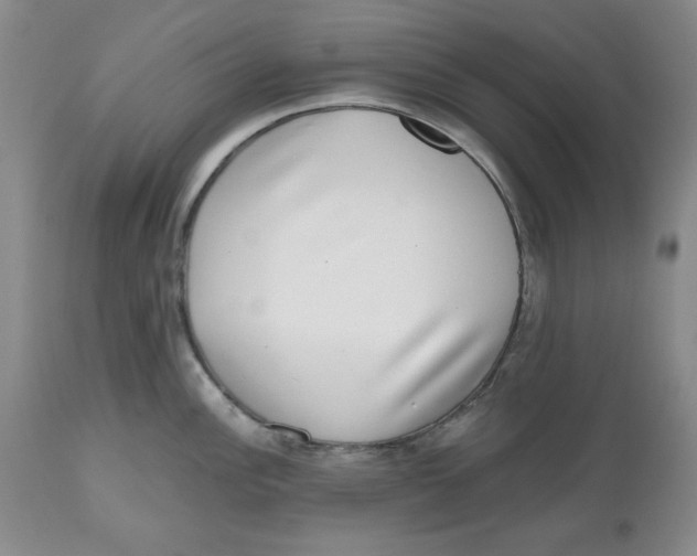X0000112521148200909141217