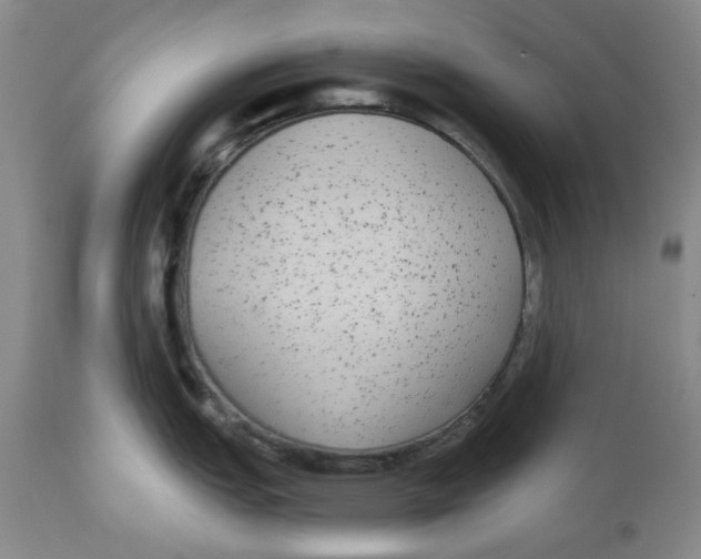 X0000112521151200909141217