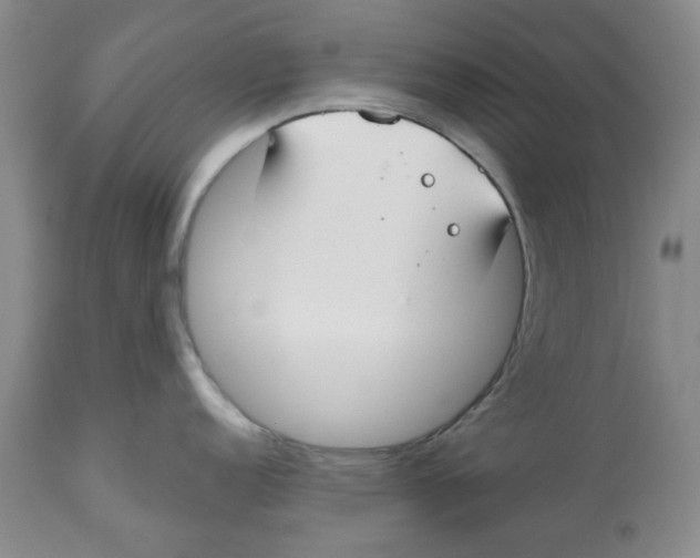 X0000112521152200909141217