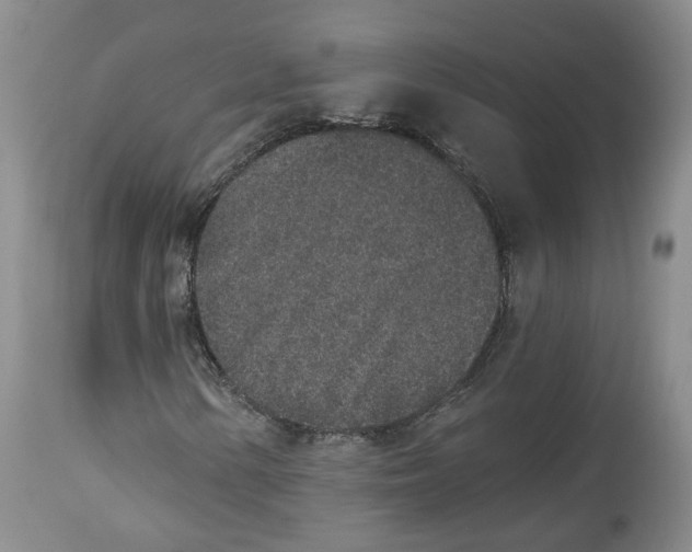 X0000112521154200909141216